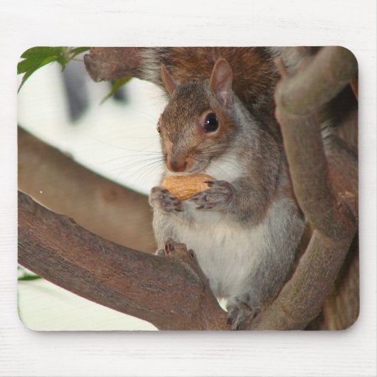 squirrelfriend マウスパッド (正面)