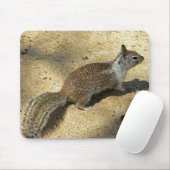 Squirrell マウスパッド (マウス)