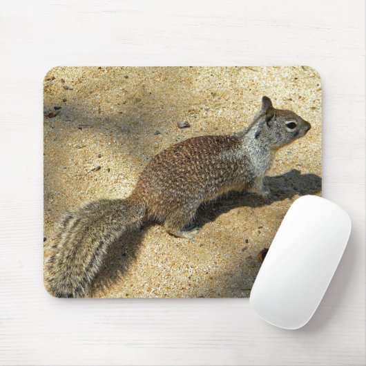 Squirrell マウスパッド (マウス)
