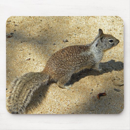 Squirrell マウスパッド (正面)