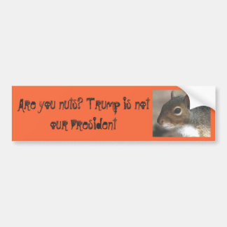 Squirrellyはくだらないです! 切札は私達の大統領ではないです バンパーステッカー