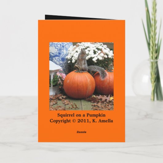 Squirrelyハロウィンカード カード (裏面)