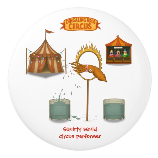 Squirty squid セラミックノブ (正面)