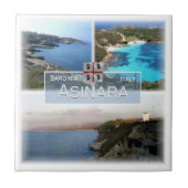 SRD027 ASINARAモザイク,サルデーニャ,イタリア, タイル (正面)