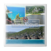 SRD031 LUNA COVE，モザイク，サルデーニャ， タイル (正面)