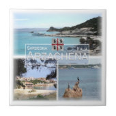 SRD038 ARZACHENA,モザイク,サルデーニャ, タイル (正面)