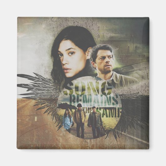 SRSマグネット マグネット (正面)