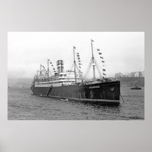 SSニユーアムステルダム ポスター