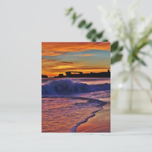 SSパロアルト。 ポストカード (スタンド正面)