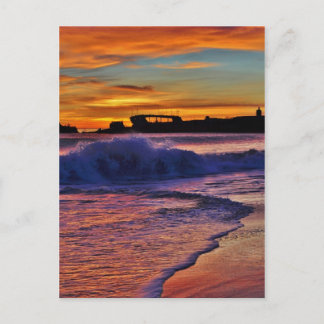 SSパロアルト。 ポストカード