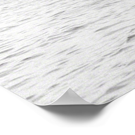 SSレックス ポスター (角)