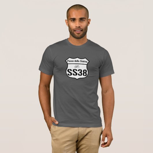 SS38: Passoのdello Stelvio Tシャツ (正面フル)