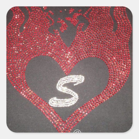 SSSCスタンプ スクエアシール (正面)