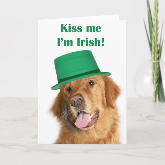 Stハンバーグのゴールデン・リトリーバー カード (正面)