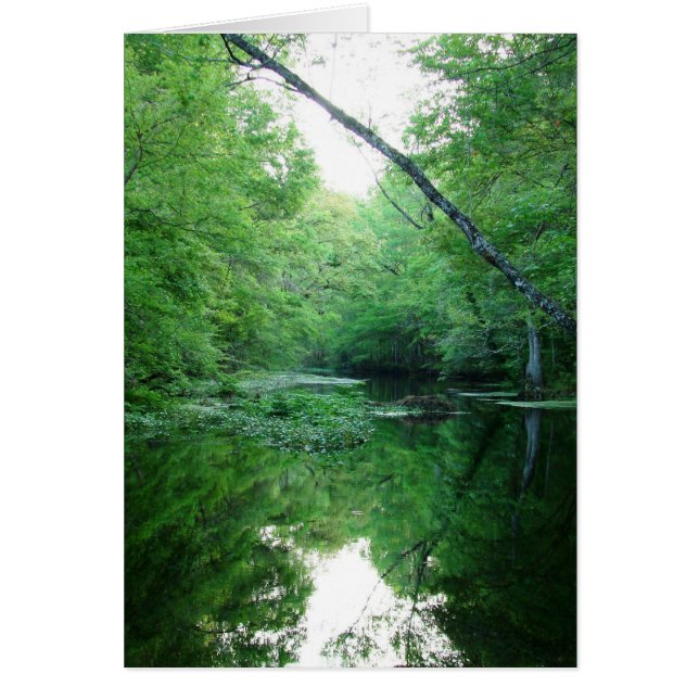 St.印の川 (正面)