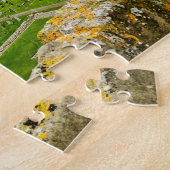 St Andrews Scotland Cathedral Tower town skyline ジグソーパズル (側面)