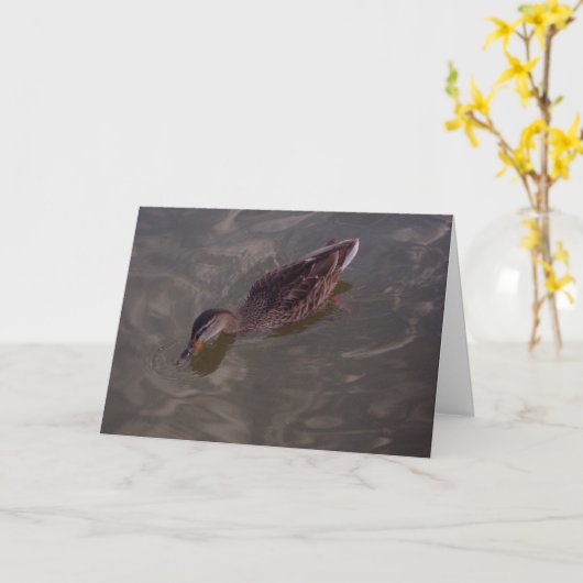 St. Anthony Duck #2サンキューカード カード (黄色い花)