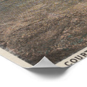 St. Augustine, Florida - Bird's Eye of Ft.万理生 ポスター (角)