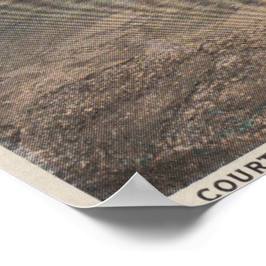 St. Augustine, Florida - Bird's Eye of Ft.万理生 ポスター (角)