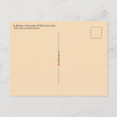 St. Barbara (JP 01)ポストカード1 ポストカード (裏面)