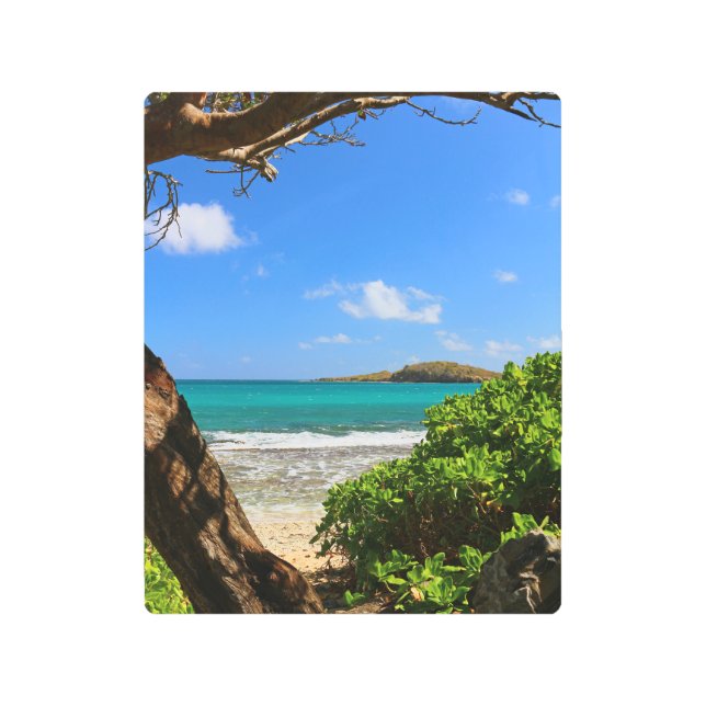 St. Croixの米国の新しい島のビーチ場面 メタルプリント (正面)