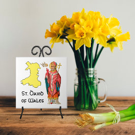 St. David of Wales (P 001)のアウトライン地図 タイル