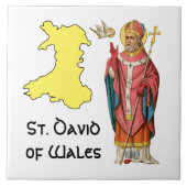 St. David of Wales (P 001)のアウトライン地図 タイル (正面)