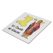 St. David of Wales (P 001)のアウトライン地図 タイル (側面)