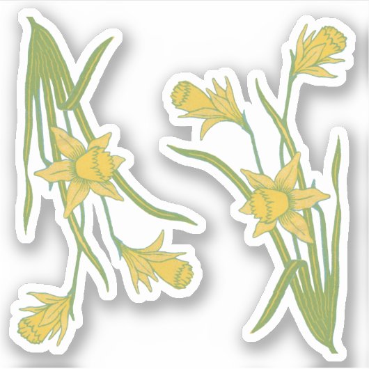 St. David'sまたはSt. Piran's Day Daffodils (fL) - シール (正面)