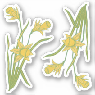 St. David'sまたはSt. Piran's Day Daffodils (fR) - シール