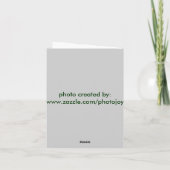 St Francis カード (裏面)