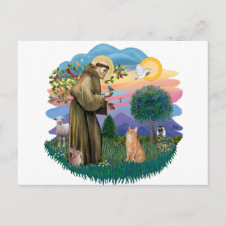 St Francis (ff) - Orange Tabby cat ポストカード