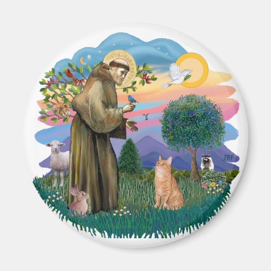 St Francis (ff) - Orange Tabby cat マグネット (正面)