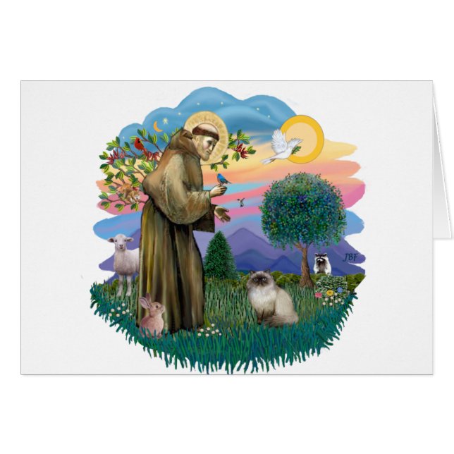 St Francis (ff) - Seal Point Himalayan cat (正面横)