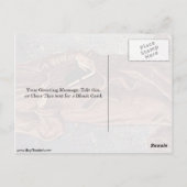 St. Francis Of Assi By Tura Cosimo ポストカード (裏面)