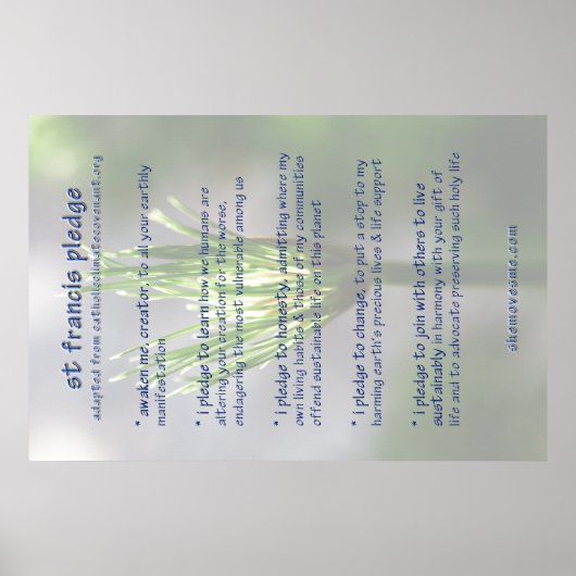 st francis plify ( revised ) POSTER ポスター (正面)