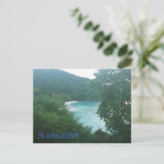 St.John、USVI ポストカード (スタンド正面)