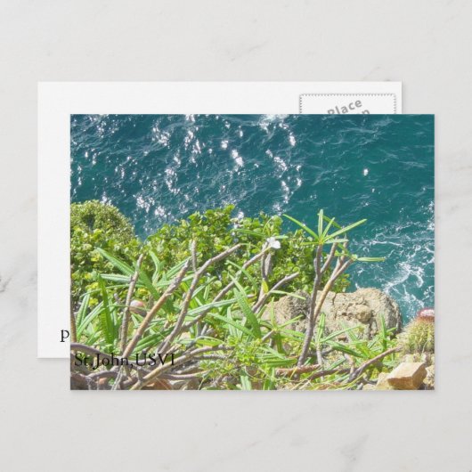 St.John、USVI ポストカード (正面/裏面)