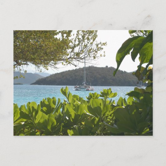 St.Johns1 ポストカード (正面)