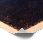 St. Louis Missouri Centennial ポスター (角)