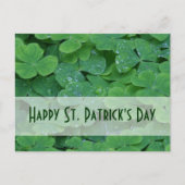 St. Patricks日のコレクション シーズンポストカード (正面)