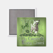 St patricks – 私ラッキーチャーム – クレスト中国のド マグネット (正面/裏面)