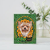 St patricks-金ゴールドのポット- Yorkshire Terrier ポストカード (スタンド正面)