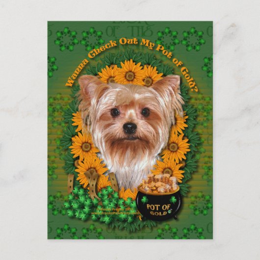 St patricks-金ゴールドのポット- Yorkshire Terrier ポストカード (正面)