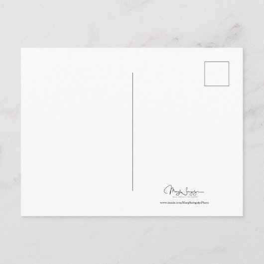 St patricks dayかわいおもしろいアイルランドのヒップスター犬 ポストカード (裏面)