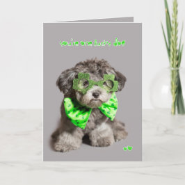 St patricks dayの幸運な犬 カード