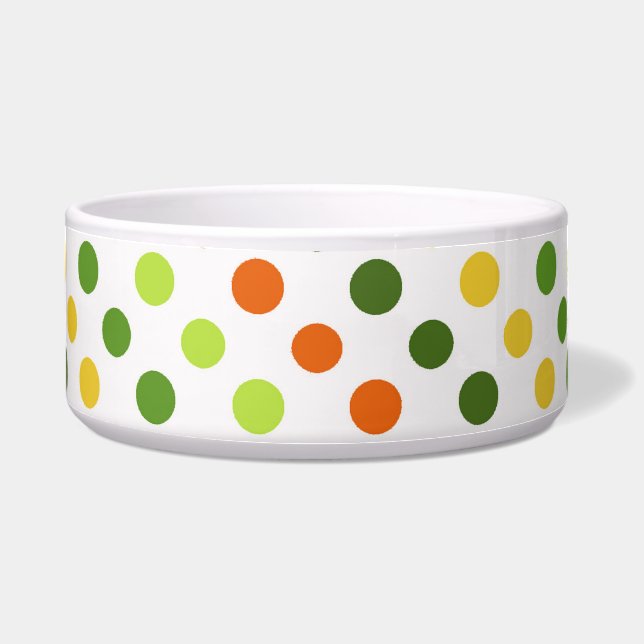 St patricks dayアイリカラフルッシュおもしろいペット ボウル (正面)