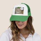 St patricks dayオレンジタブビーキャット キャップ (インサイチュ)