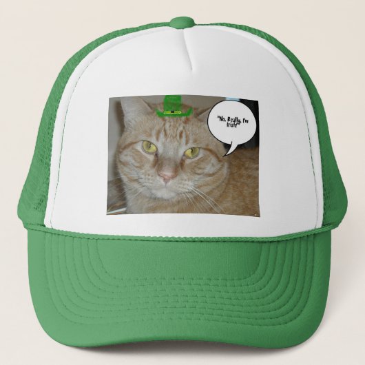 St patricks dayオレンジタブビーキャット キャップ (正面)