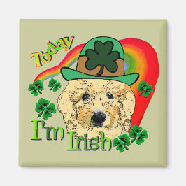 St patricks dayゴルデンドール マグネット